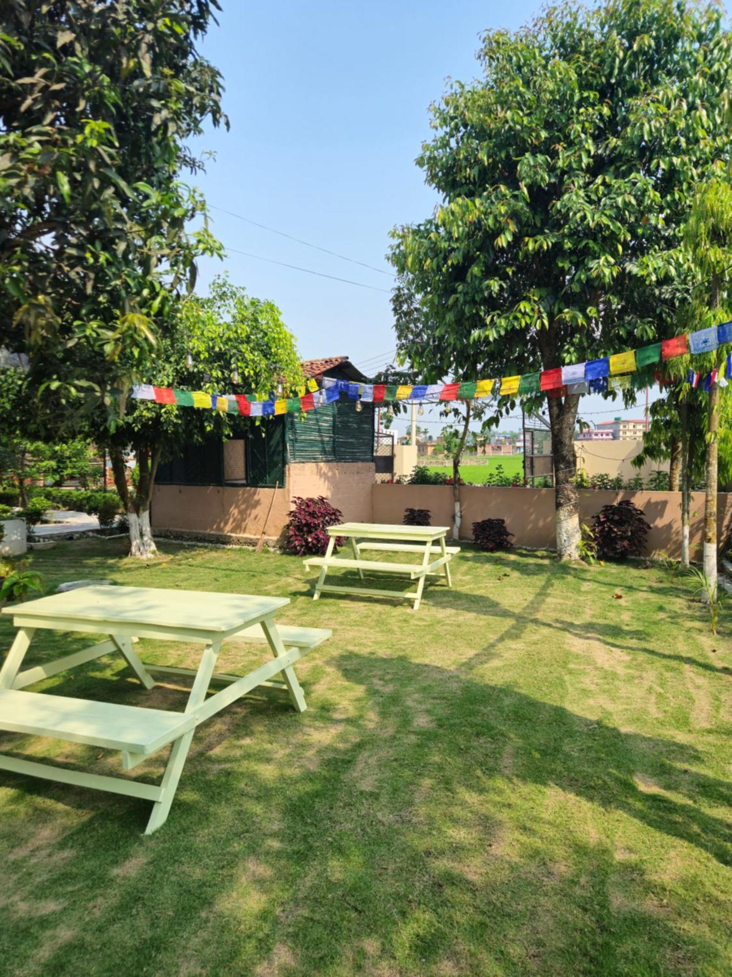 Hotel Tree Tops- A Serene Friendly Hotel In Sauraha Chitwan Dış mekan fotoğraf